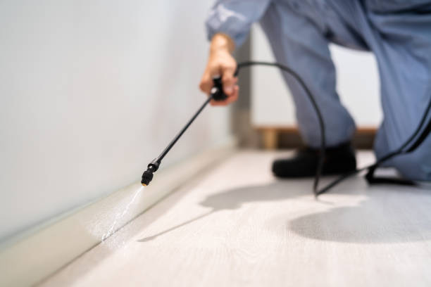 Licensed Cockroach Control service in Chico, CA - Nex Pest Control
