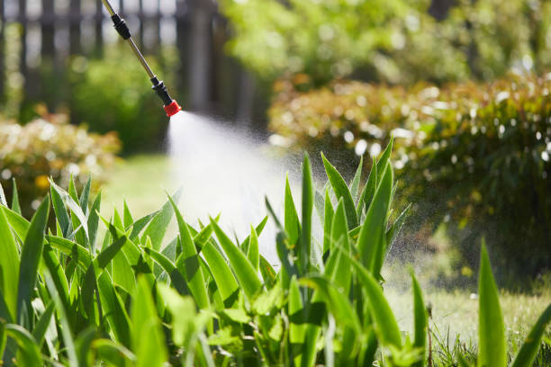 24/7 Emergency Cockroach Control experts in Chico, CA