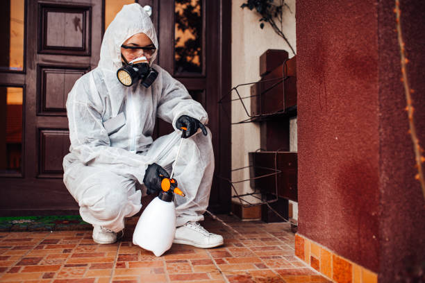 Reliable Cockroach Control contractor in Chico, CA by Nex Pest Control